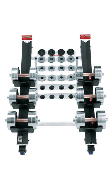 Dumbbells and rack discount for sale uk